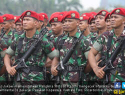 Presiden Perintahkan Panglima Dan Kapolri Usut Kasus KKB