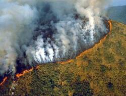 Kebakaran Hutan Amazon : Efek Mematikan Penyebaran Karbon Monoksida