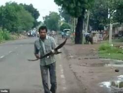 Salah Paham, Burung Gagak Ini Selalu Menyerang Pemuda India Tiap Hari Selama 3 Tahun