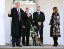 Bangga, Trump Perkenalkan Anjing Pembunuh Pimpinan ISIS