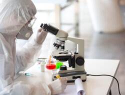 Jahe Merah Direncanakan Akan Diuji Klinis Sebagai Immunomodulator