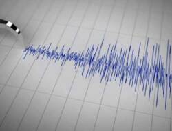 Gempa Selama Agustus Meningkat Hingga 804 Kali