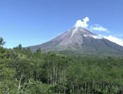 Gunung Semeru Muntahkan Lava Pijar