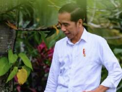 Jokowi Disuntik Vaksin COVID-19 Besok, Istana Koordinasi ke Kemenkes