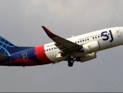 Sriwijaya Air Jatuh, Alvin Lie: Usia Pesawat Tak Terkait Keselamatan