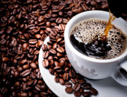Kenaikan Konsumsi Kopi Selama Pandemi Covid-19