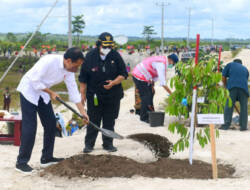 Rehabilitasi Kerusakan Hutan, Presiden Jokowi Tanam Pohon di Area Bekas Tambang