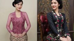 Ilustrasi Kebaya. Instagram @darasarasvaati