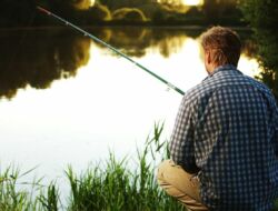 Gunakan Umpan Ini Untuk Memancing Di Rawa, Dijamin Dapat Banyak Ikan!!!