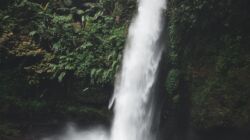 Air Terjun di Bogor