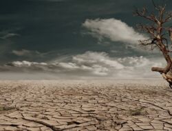 Fenomena El Nino Bisa Menyebabkan 32 Provinsi di Indonesia Mengalami Kekeringan