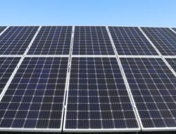 Jakarta Energy Forum. Transisi Energi di Kalangan Pebisnis Muda