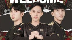 Dewa United Esport