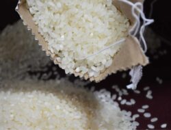 BLT MRP Cair Lagi! 22 Juta Keluarga Miskin Bakal Dapat Beras 10 Kg 3 Kali Sampai Akhir Tahun