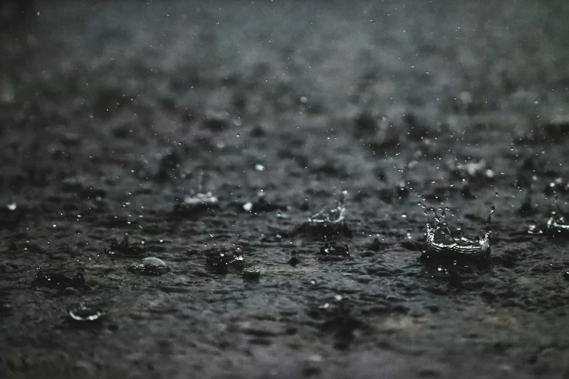 Dampak La Nina di Indonesia. Foto: Unsplash @b620