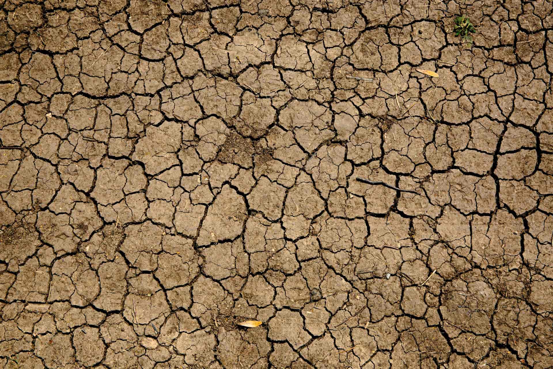 Dampak La Nina di Indonesia. Foto: Unsplash @mikejerskine