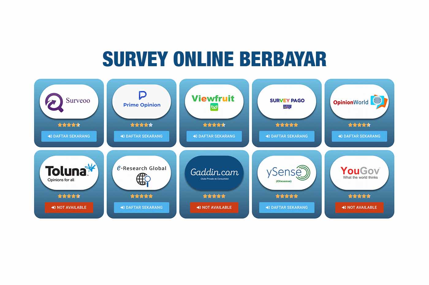 Survey online berbayar. Foto: Tangkapan layar surveiberbayar.com