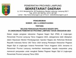 Info Seleksi CPNS Pemprov Lampung Lengkap Dengan Posisi yang Dibutuhkan