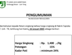 DPRD Lampung Bikin Gebrakan, Harga Singkong Naik Jadi Rp1.400 per Kg!