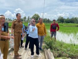 Ketua Komisi III DPRD Lamsel Bersama PLN Tinjau Lokasi Pemasangan Gardu dan Instalasi Listrik