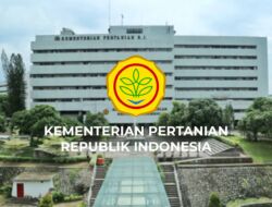 Hilirisasi Pertanian Dorong 8 Juta Lapangan Kerja Baru di Indonesia
