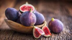 buah ara atau buah tin