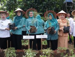Ketua TP PKK Lampung Canangkan Kelurahan Nusantara Permai Sebagai Desa Tapis