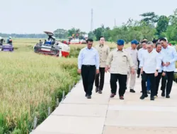 Presiden Prabowo Sebut Swasembada Pangan Kunci Kemerdekaan Bangsa
