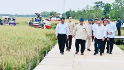 Presiden Prabowo Umumkan Swasembada Pangan Nasional 2025