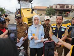 Wagub Jihan Nurlela Tinjau Perbaikan Jalan Pringsewu–Pardasuka