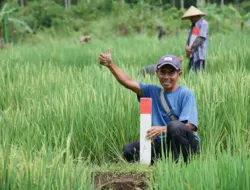 Mudik ke Kampung Halaman? Jaga Batas Tanah sebagai Langkah Awal Cegah Konflik Antartetangga