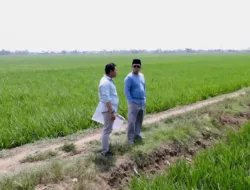 Tinjau Kawasan Industri di Indramayu, Menteri Nusron Pastikan Lahan Tidak Masuk ke LSD