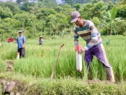 Pasang Patok, Cara Sederhana Cegah Sengketa Tanah dengan Tetangga