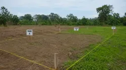 Kenali Prosedur dan Syarat Pemisahan Bidang Tanah
